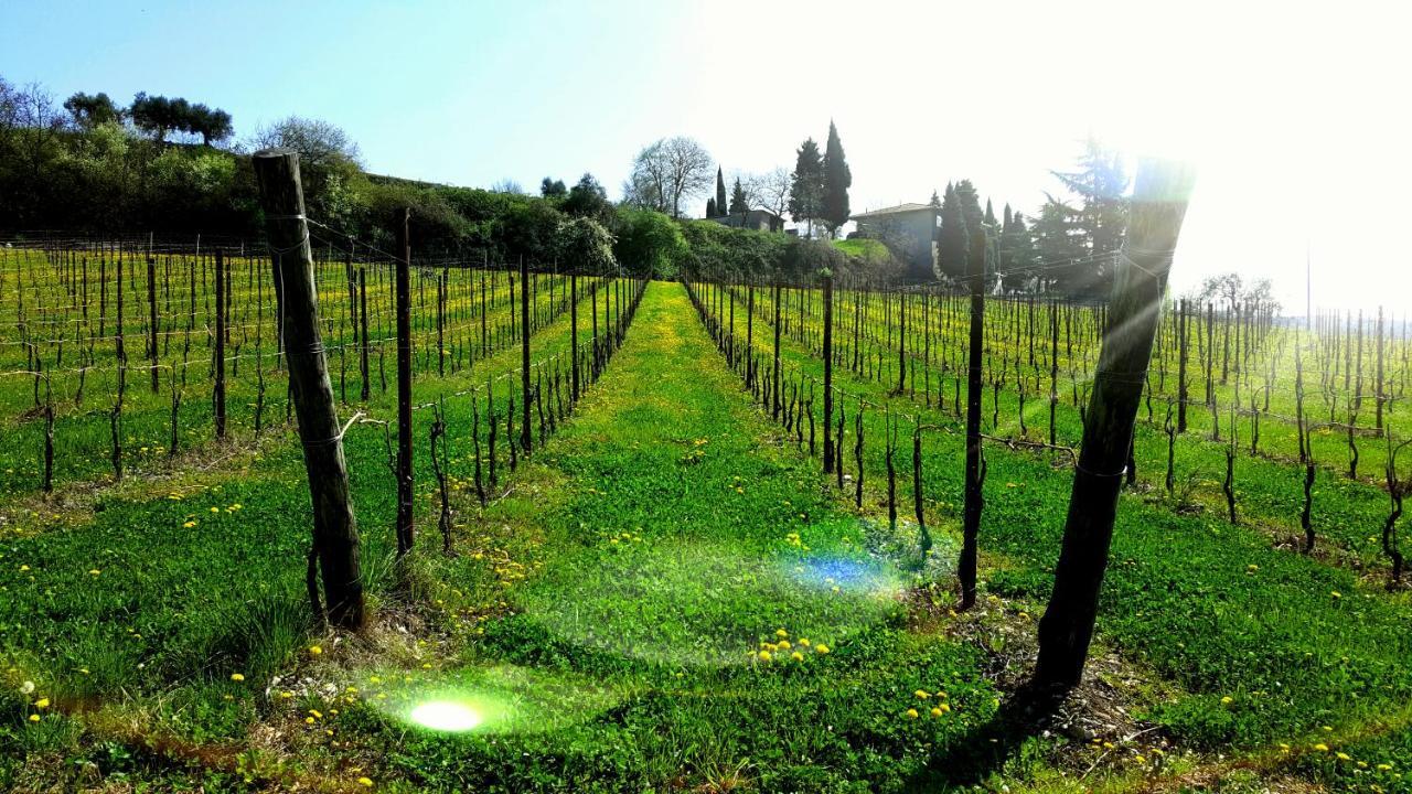 Agriturismo La Guarda Picedo Luaran gambar