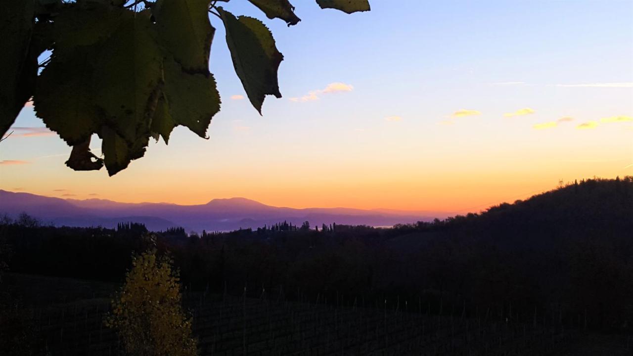 Agriturismo La Guarda Picedo Luaran gambar