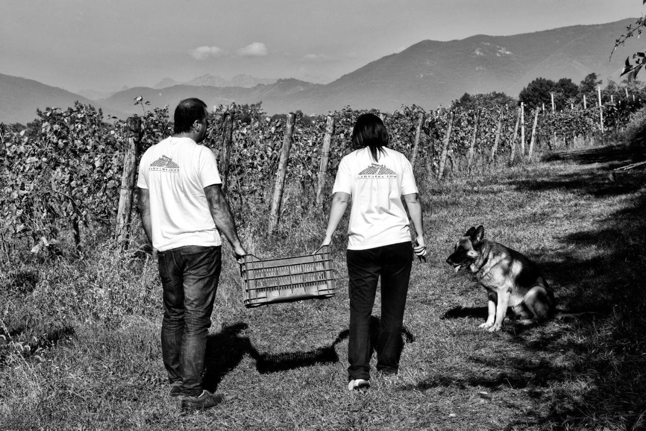 Agriturismo La Guarda Picedo Luaran gambar