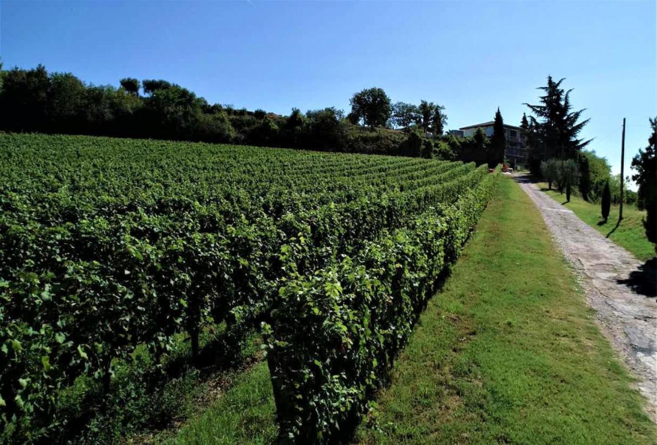 Agriturismo La Guarda Picedo Luaran gambar