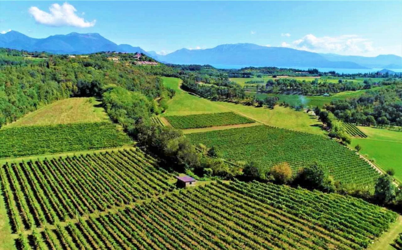 Agriturismo La Guarda Picedo Luaran gambar